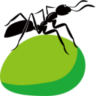 新发现导航