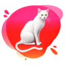 小公猫导航
